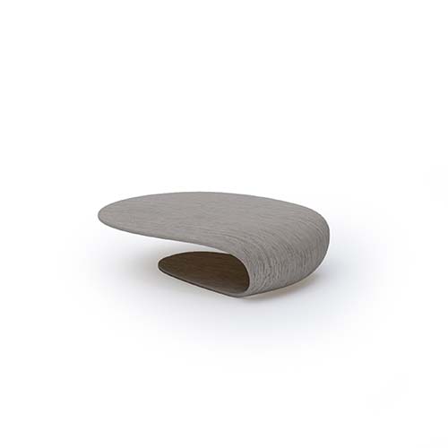 Palm Small